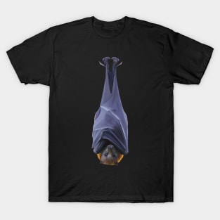 Flying fox bat illustration. Australian fruit bat art work. Realistic bat art. Unique gift T-Shirt